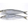 Verse diepgevroren zeevruchten sardine alle soorten sardine vissen